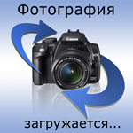 Цифровой фотоаппарат Sony Cyber-shot DSC-S2000 - 10Mpix - Black